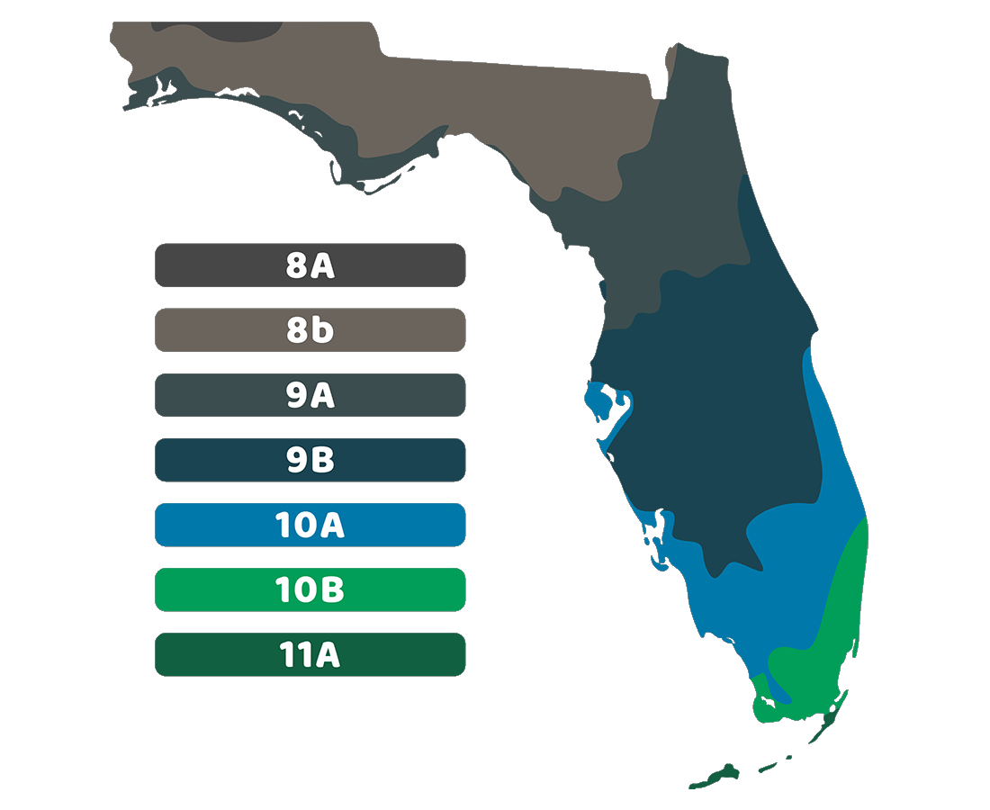 Growing Zones In Florida Map - United States Map