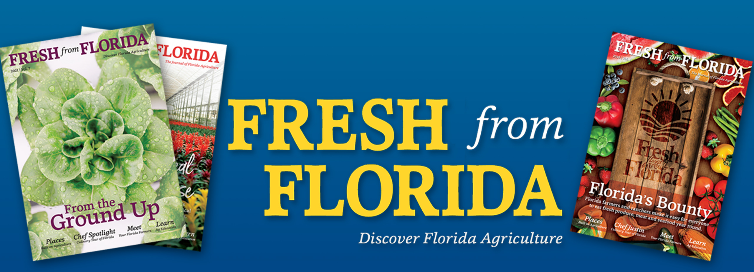 Fresh From Florida Magazine Fresh From Florida   FFF Mag Web Header 